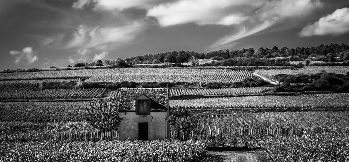 Le Beaujolais