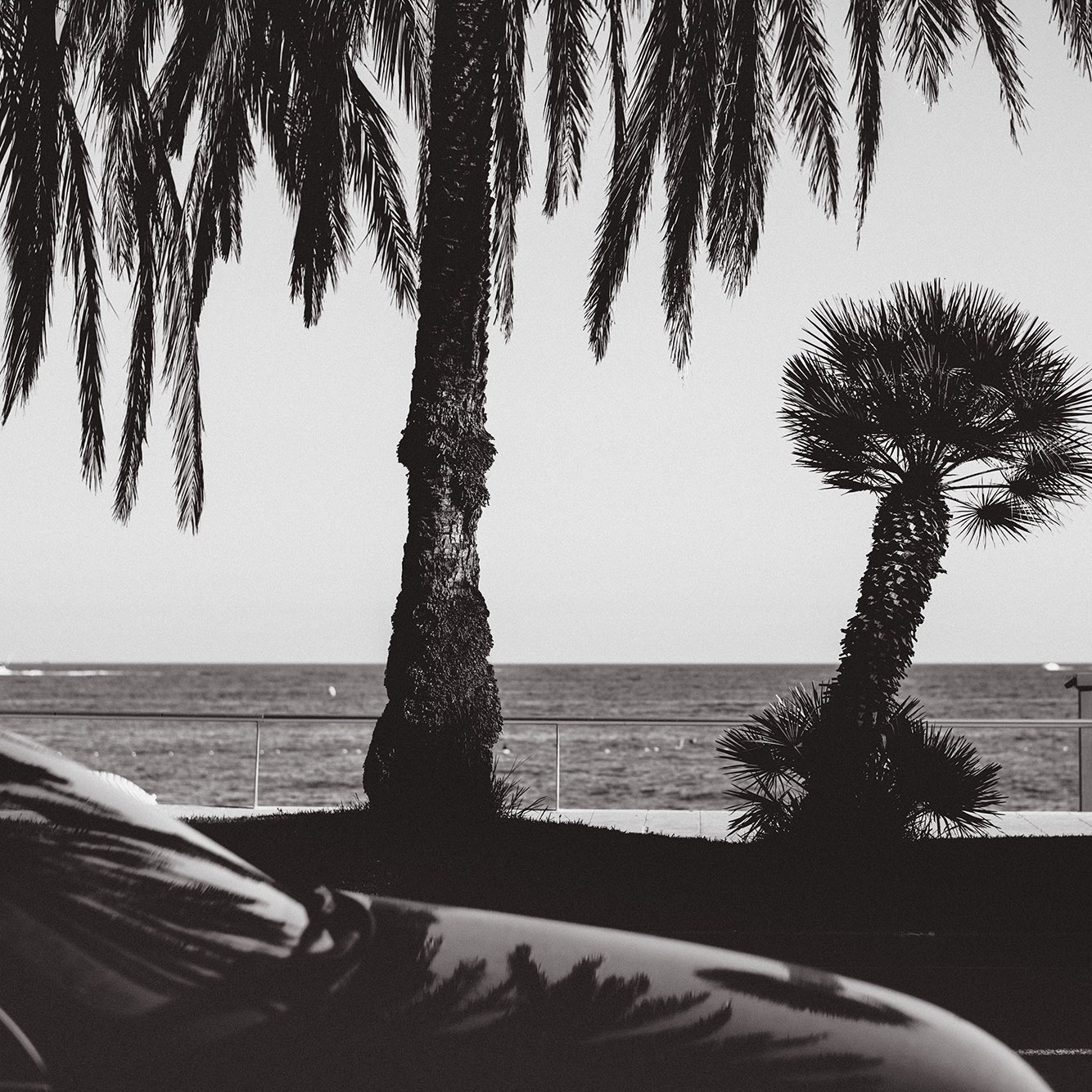 chauffeur-prive-festival-de-cannes
