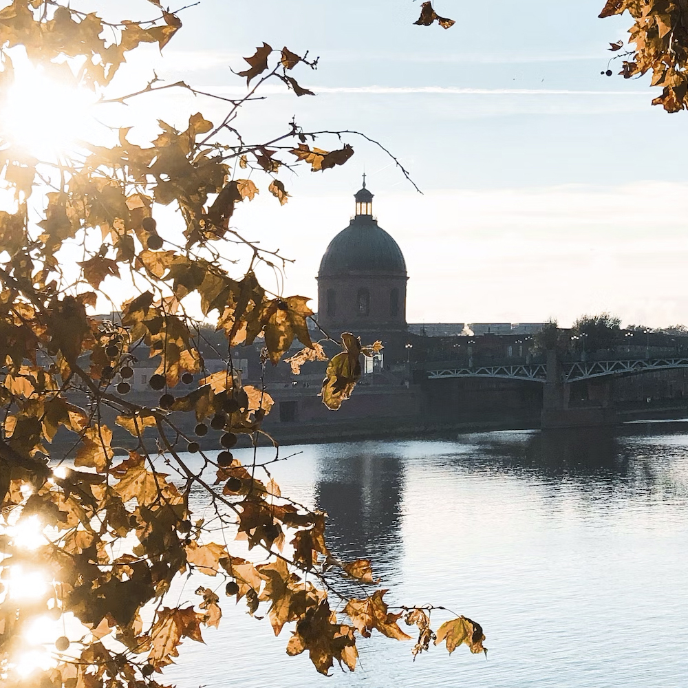 chauffeur-prive-toulouse